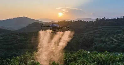 ����ǰ�ŷ���Ʒ���󽮺��ֱ��8000Ԫ ����ũҵ���˻�����֮ս��������