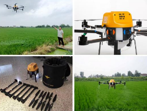 ����ӥ���³����ִ�������Ȥ��Ϊ������