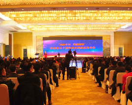 ����ʮ�أ����ͺ����ٷ���ֲ�����˻��������֡�