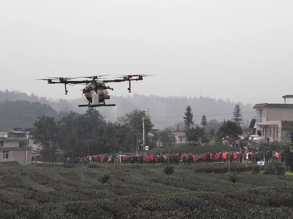 ����ʡֲ�����˻��ɷ���չѸ��