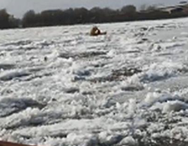 �洬���������� ��Ԯ�޷����� ���˻�����ͨ